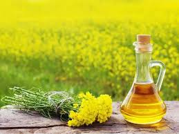 Mustard Oil